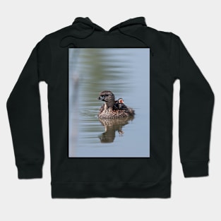 Pied-billed Grebe Hoodie